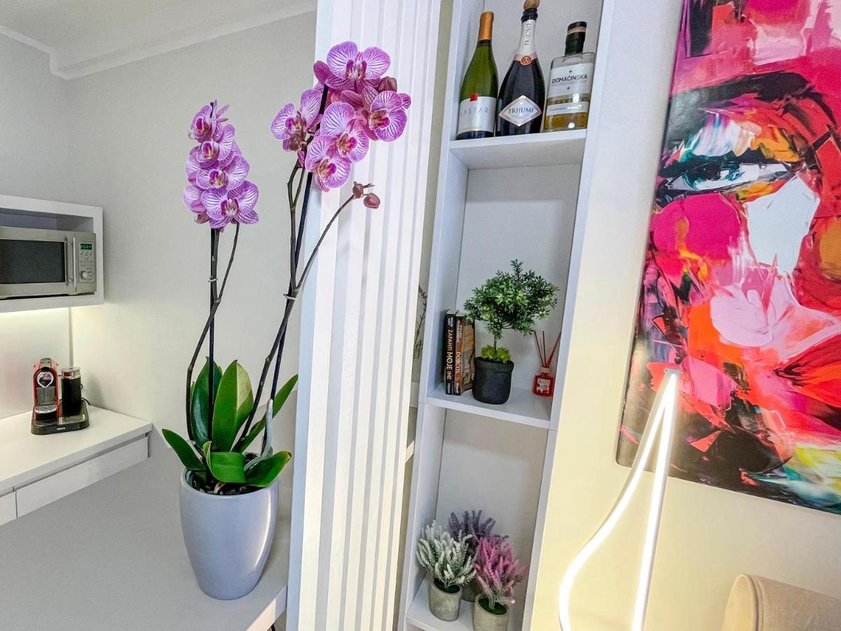 Skadarlija Colorway Apartment เบลเกรด ภายนอก รูปภาพ